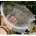 Набор FISH PLATE (6 тарелок + 1 блюдо) 9224
